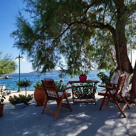 Alexandra Studios 2 Αλόννησος Εξωτερικό φωτογραφία